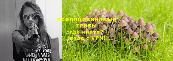 дурь Костерёво