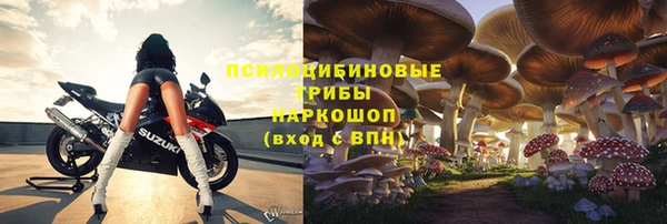 мет Корсаков
