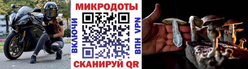 цены наркотик  Динская  Галлюциногенные грибы мухоморы 
